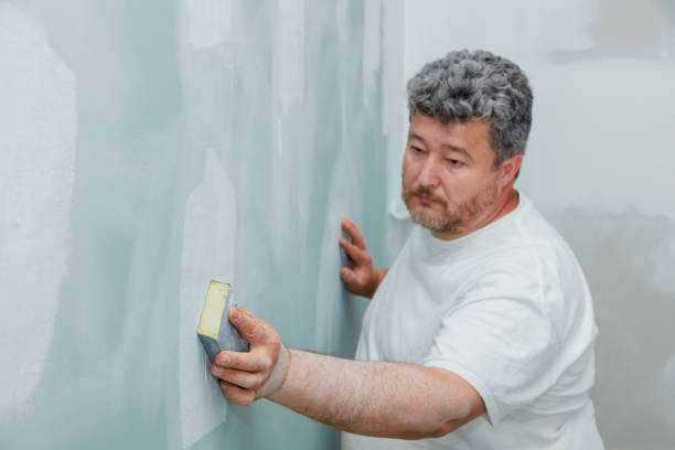 Best Water-Damaged Drywall Repair  in Fremont, MI